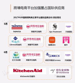 2017上半年中國跨境電商市場研究報告 便宜的海淘物流成為發(fā)展關(guān)鍵